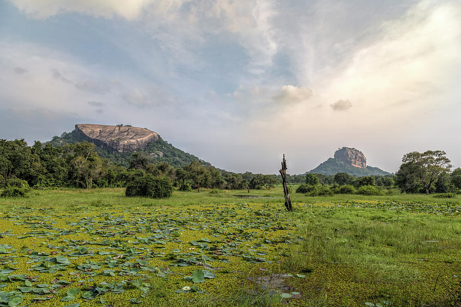 Sigiriya - Sri Lanka #25 Photograph by Joana Kruse