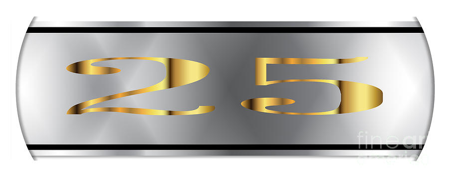 25 Silver Banner Digital Art by Bigalbaloo Stock | Pixels