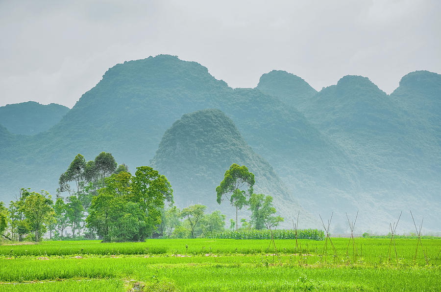 The beautiful karst rural scenery #25 Photograph by Carl Ning