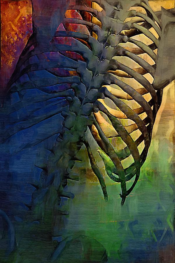 Skeleton Digital Art - Torso Skeleton #25 by Joseph Ventura