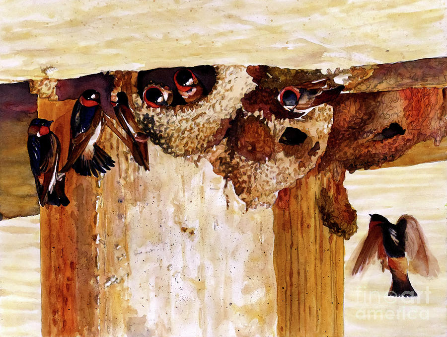 #250 Cliff Swallows #250 Painting by William Lum