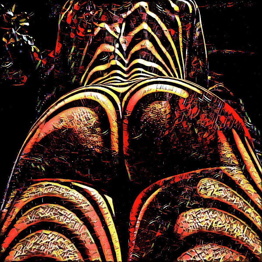 2574s-RES Zebra Striped Booty Rendered as Abstract Oil Painting by Chris Maher 2574s-RES Zebra Striped Booty Rendered as Abstract Oil Painting by Chris Maher