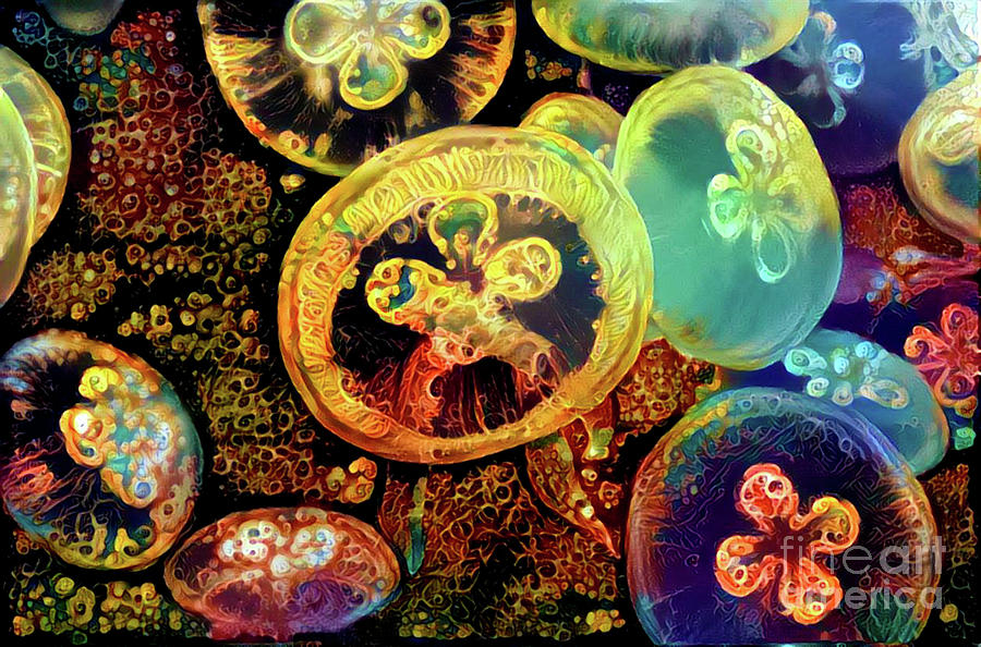 Abstract Jellyfish #26 Digital Art by Amy Cicconi