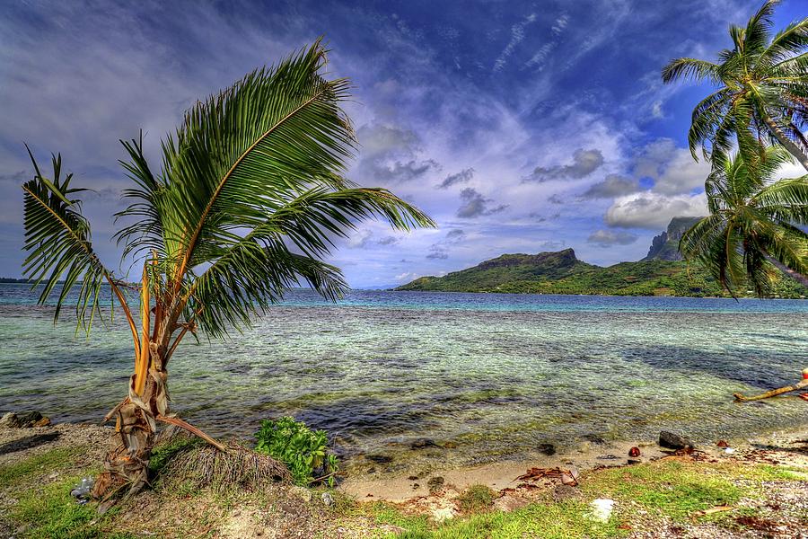 Bora Bora Tahiti #26 Photograph by Paul James Bannerman