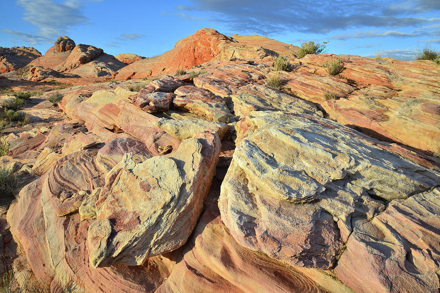 Colorful Sandstone in Valley of Fire #1 Photograph by Ray Mathis