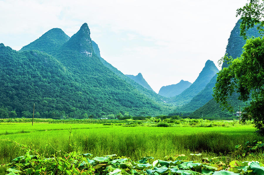 Karst mountains and rural scenery #26 Photograph by Carl Ning