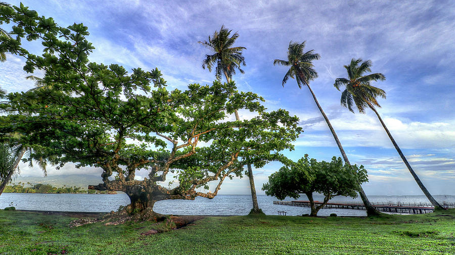 Papeete Tahiti #26 Photograph by Paul James Bannerman