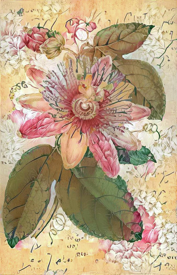 Shabby Chic Botanical Flowers #26 Digital Art by Amy Cicconi