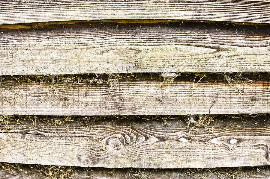 Abstract Photograph - Weathered wood #26 by Tom Gowanlock