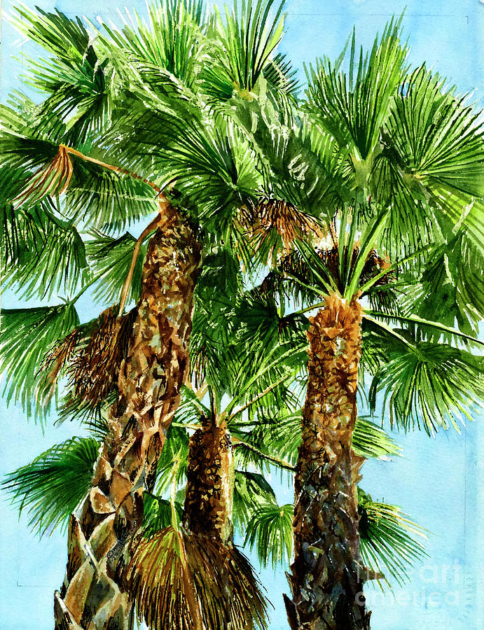 #269 Palm Trees #269 Painting by William Lum