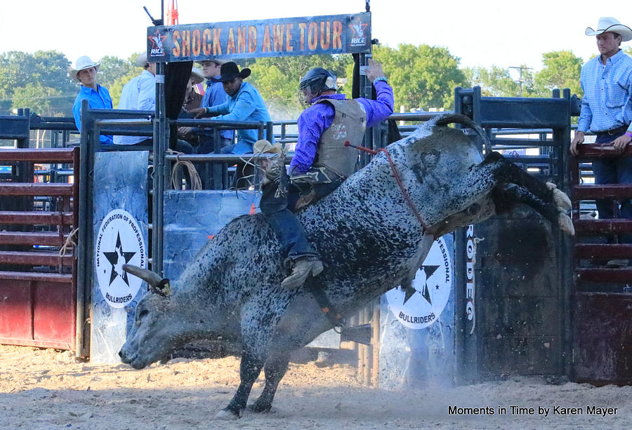 Bull Riders Photograph By Karen Mayer 