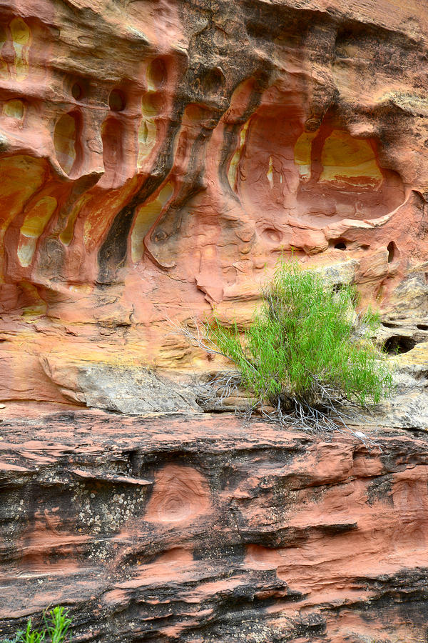 Capitol Reef Wall Art #20 Photograph by Ray Mathis