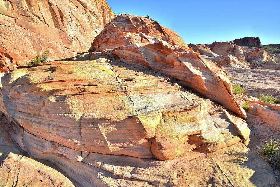 Colorful Sandstone in Valley of Fire #27 Photograph by Ray Mathis