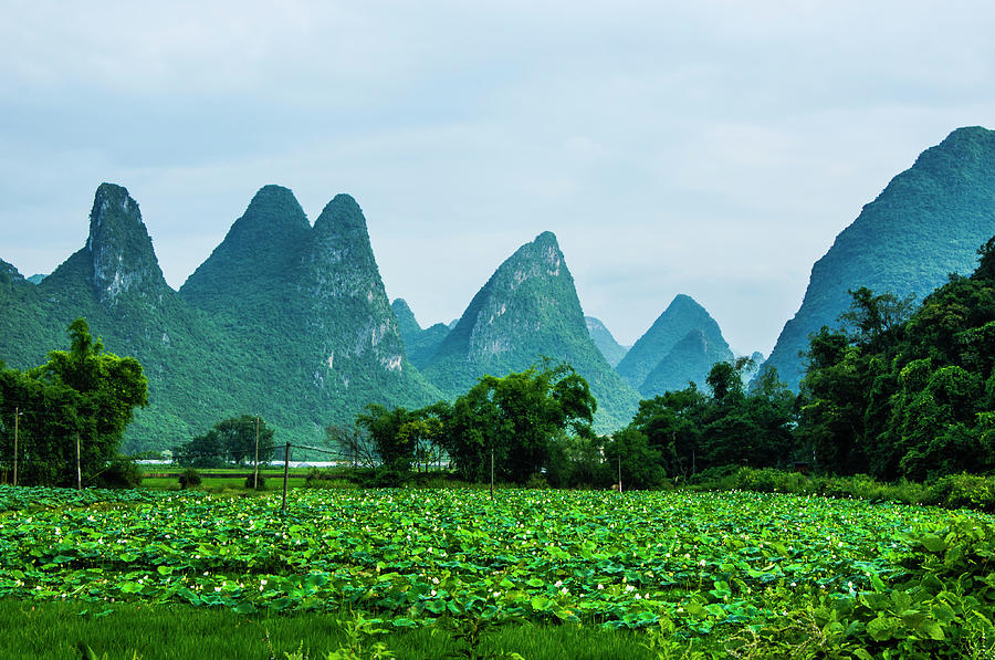 Karst mountains and rural scenery #27 Photograph by Carl Ning