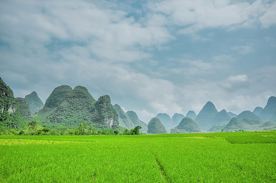 The beautiful karst rural scenery #27 Photograph by Carl Ning