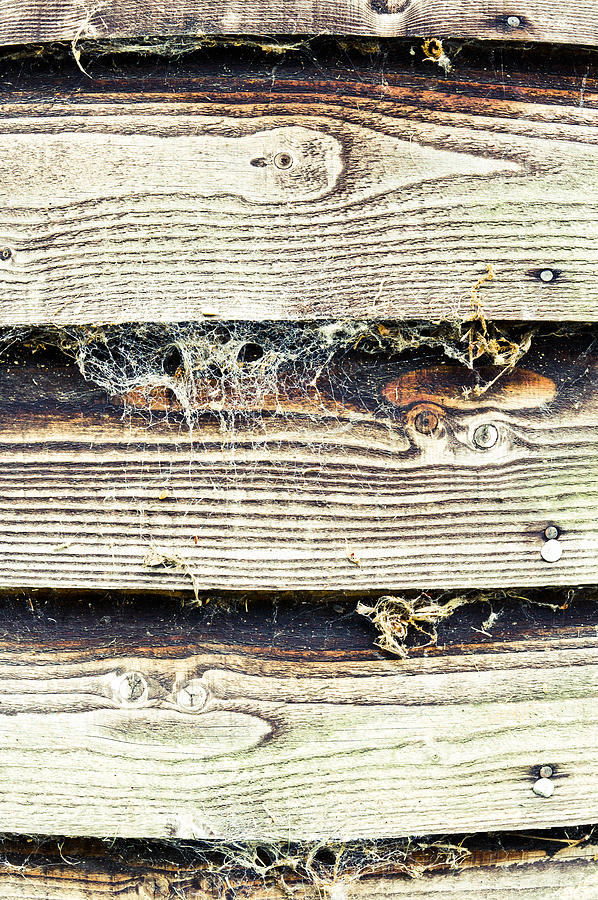 Abstract Photograph - Weathered wood #27 by Tom Gowanlock