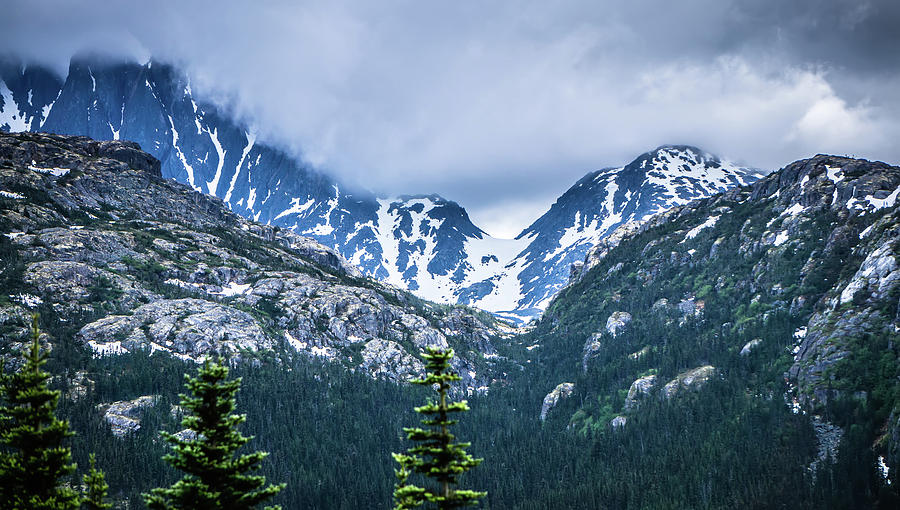 White Pass Mountains In British Columbia #27 Photograph by Alex Grichenko