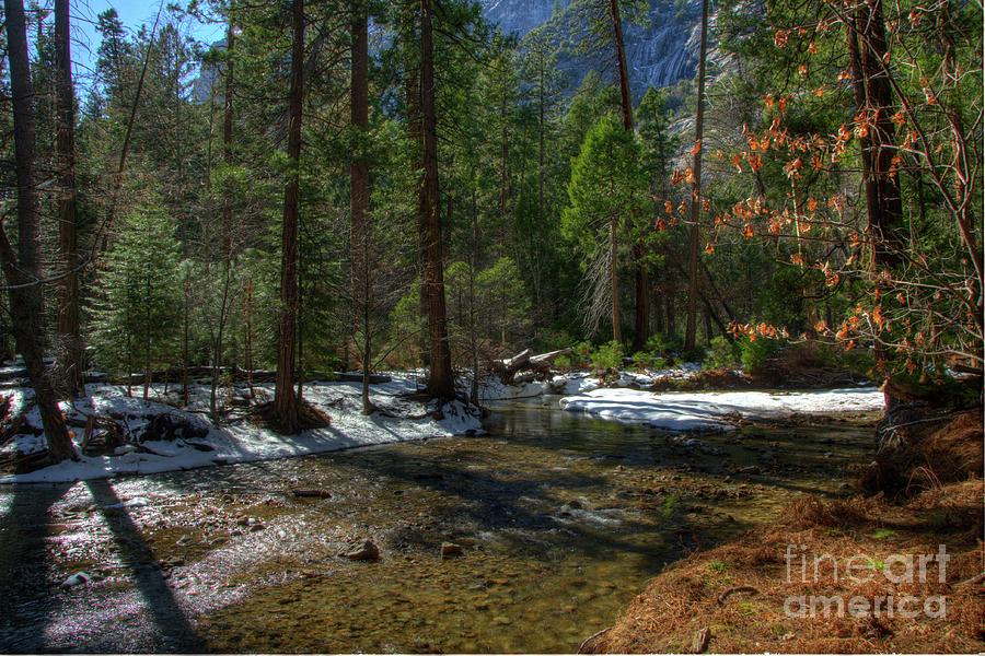 Yosemite #27 Photograph by Marc Bittan