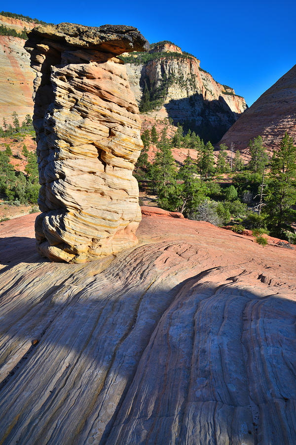 Zion National Park #27 Photograph by Ray Mathis
