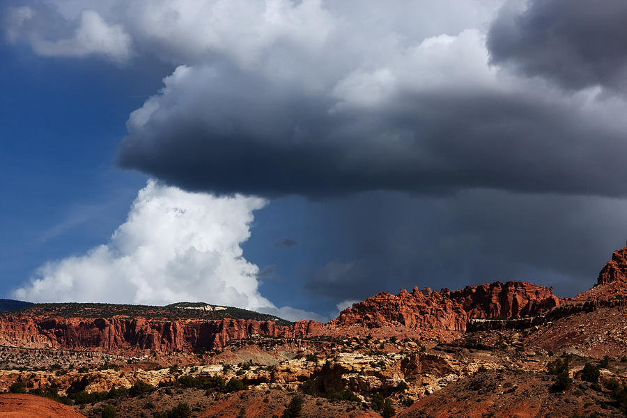 Capitol Reef National Park #270 Photograph by Mark Smith