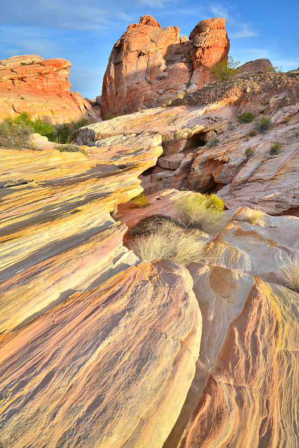 Valley of Fire #270 Photograph by Ray Mathis