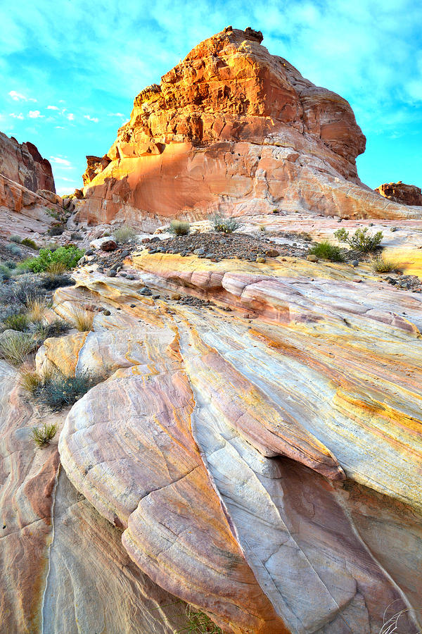 Valley of Fire #251 Photograph by Ray Mathis