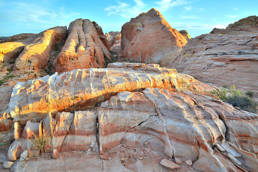 Valley of Fire #294 Photograph by Ray Mathis