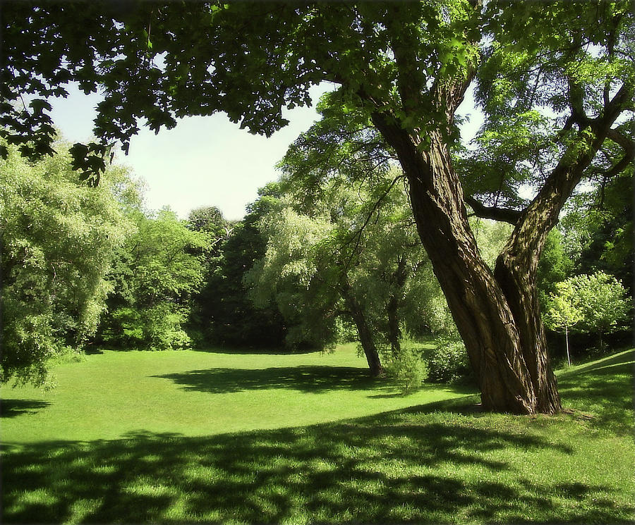 275 - Landscape - Summer Shadows Photograph by Eric Copeman - Pixels