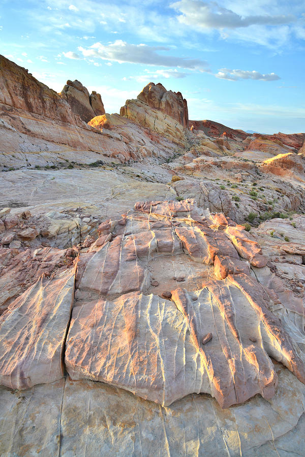 Valley of Fire #596 Photograph by Ray Mathis
