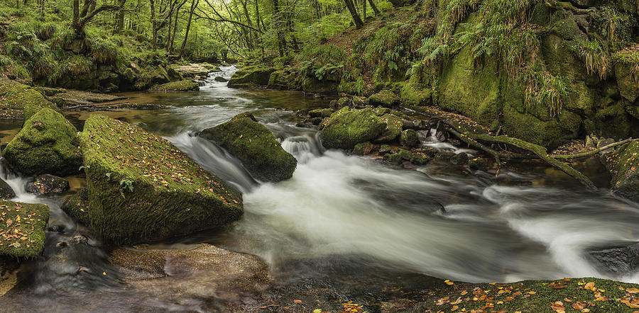 Beautiful forest stream landscape flowing through woodland with ...