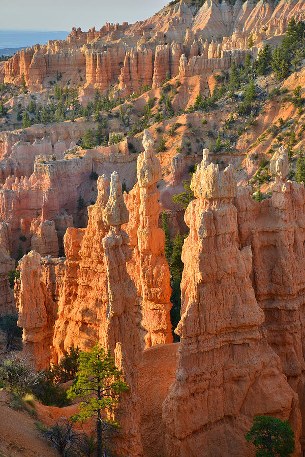Fairyland Canyon #48 Photograph by Ray Mathis