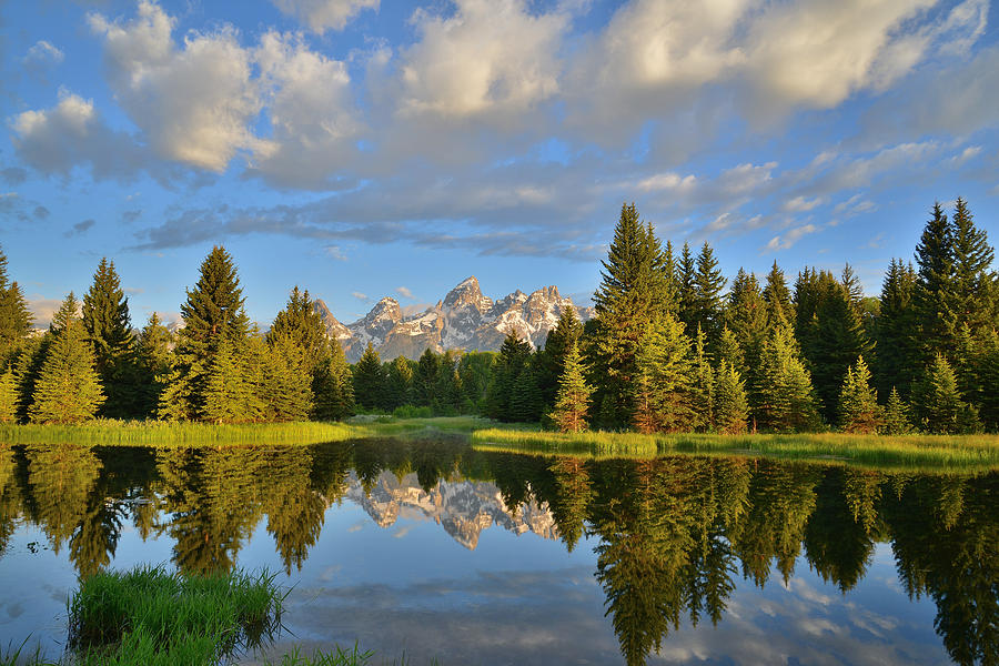 Grand Teton National Park #28 Photograph by Ray Mathis