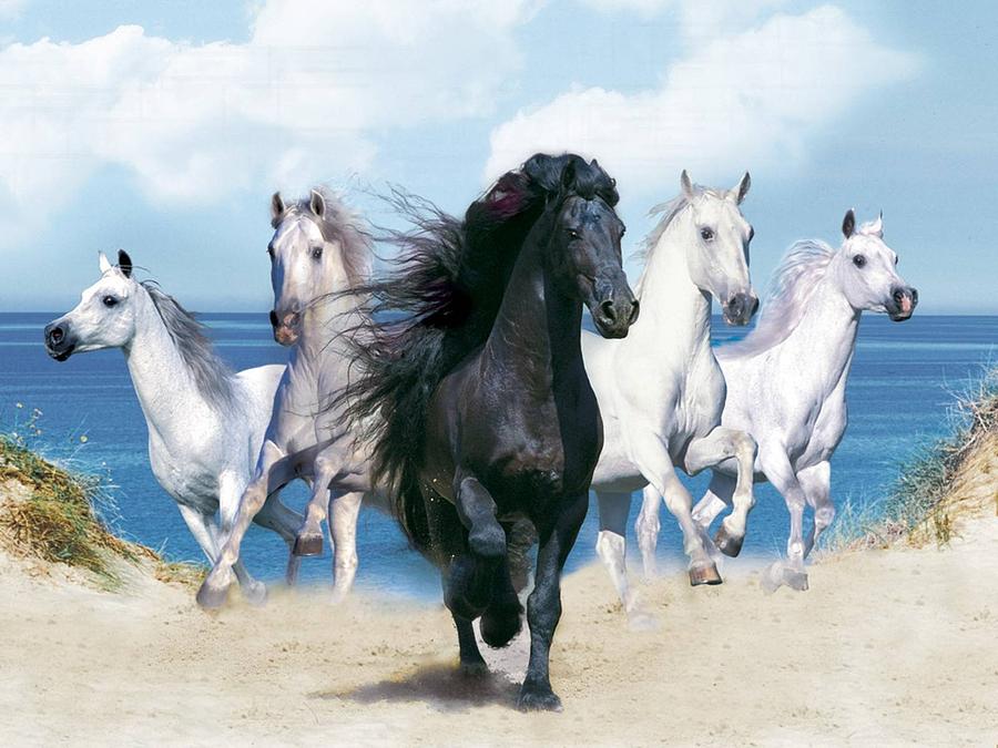 Animal Digital Art - Horse #28 by Super Lovely