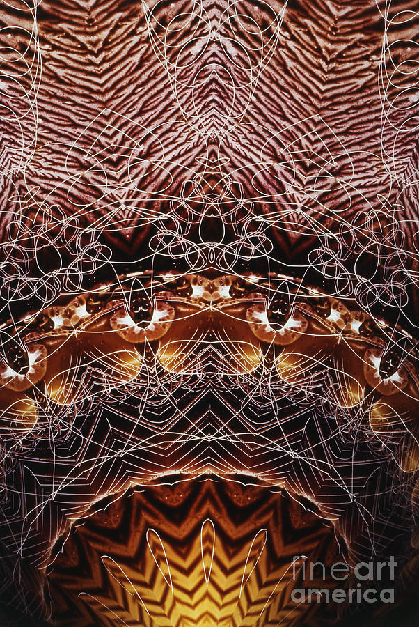 Prism Photograph - Kaleidoscope #28 by Bill Longcore