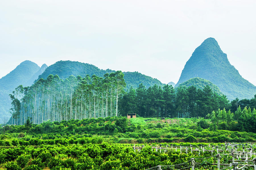 Karst mountains and rural scenery #28 Photograph by Carl Ning