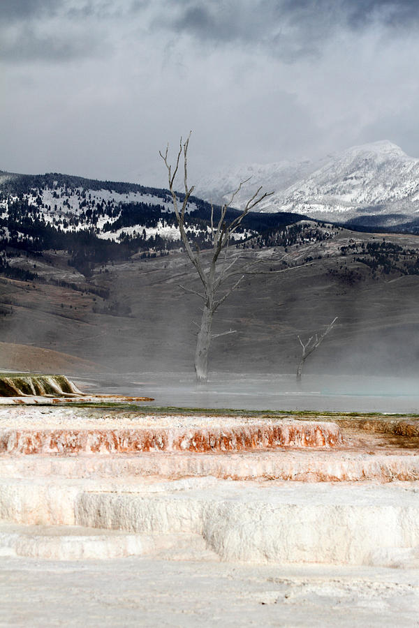 Mammoth hot springs in Yellowstone National Park #28 Photograph by Pierre Leclerc Photography