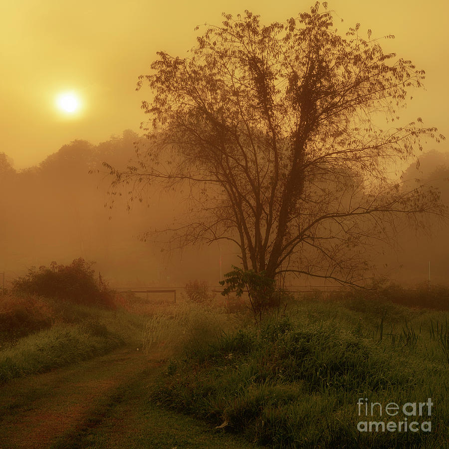 Misty Mountain Sunrise #28 Photograph by Thomas R Fletcher