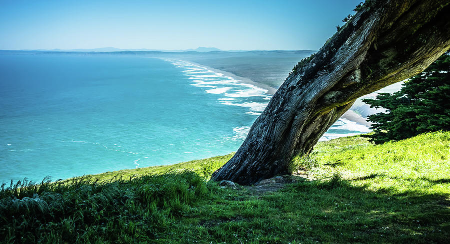Point reyes national seashore landscapes in california  #28 Photograph by Alex Grichenko