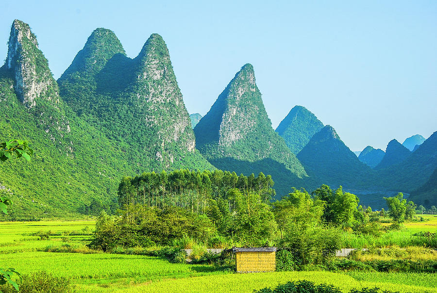 Rural scenery in summer Photograph by Carl Ning - Fine Art America