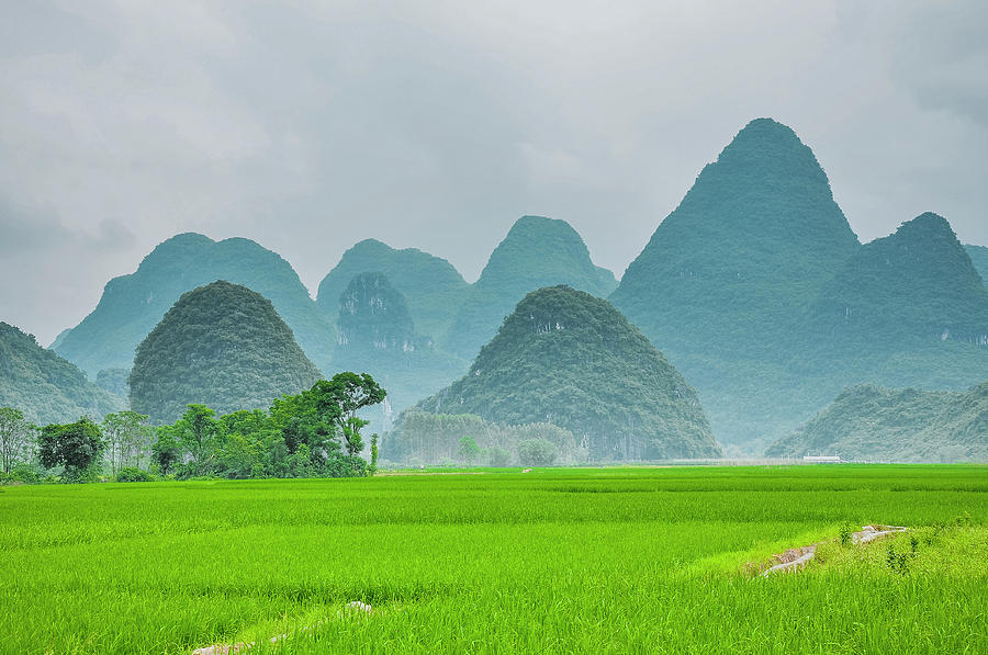 The beautiful karst rural scenery #28 Photograph by Carl Ning