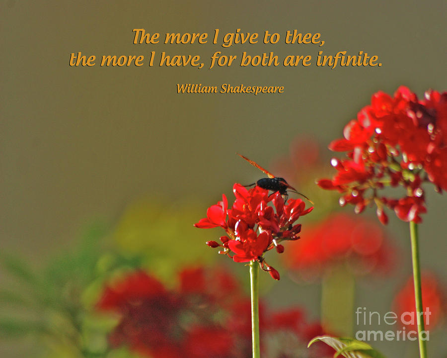 28- The more I give to thee Photograph by Joseph Keane