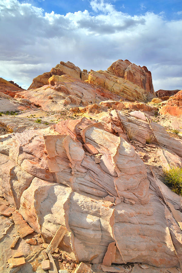 Valley of Fire #282 Photograph by Ray Mathis