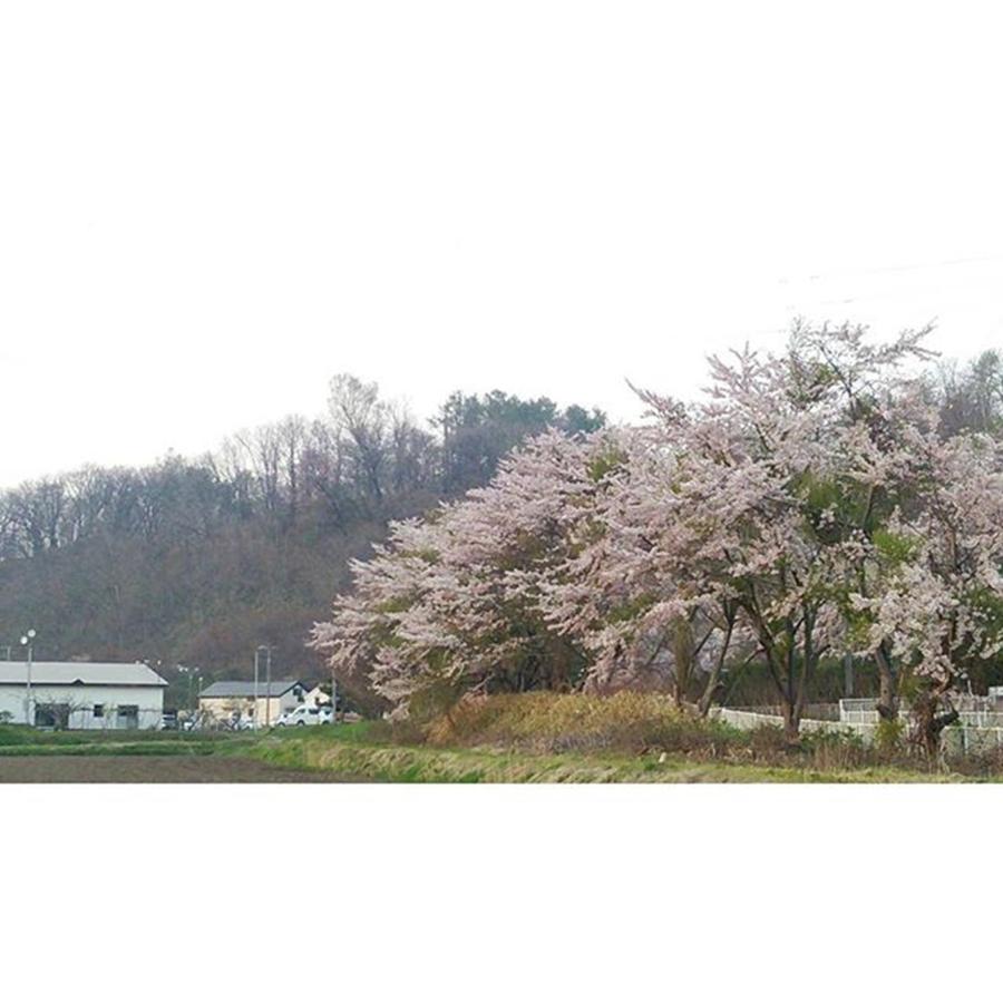 Nature Photograph - Instagram Photo #281463578031 by Yuu Shiratori