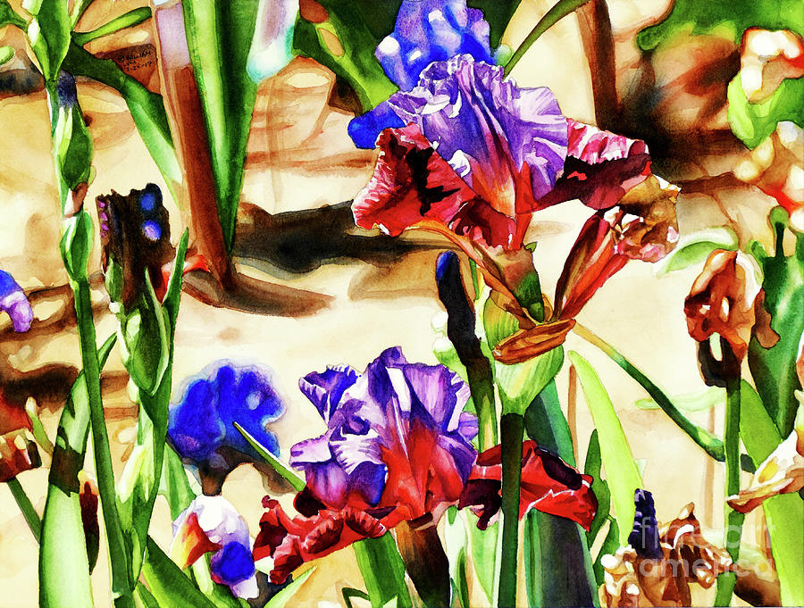 #289 Horton Iris #289 Painting by William Lum