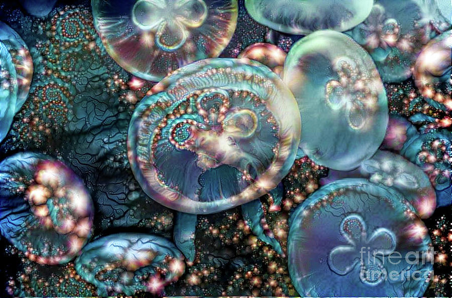 Abstract Jellyfish #29 Digital Art by Amy Cicconi