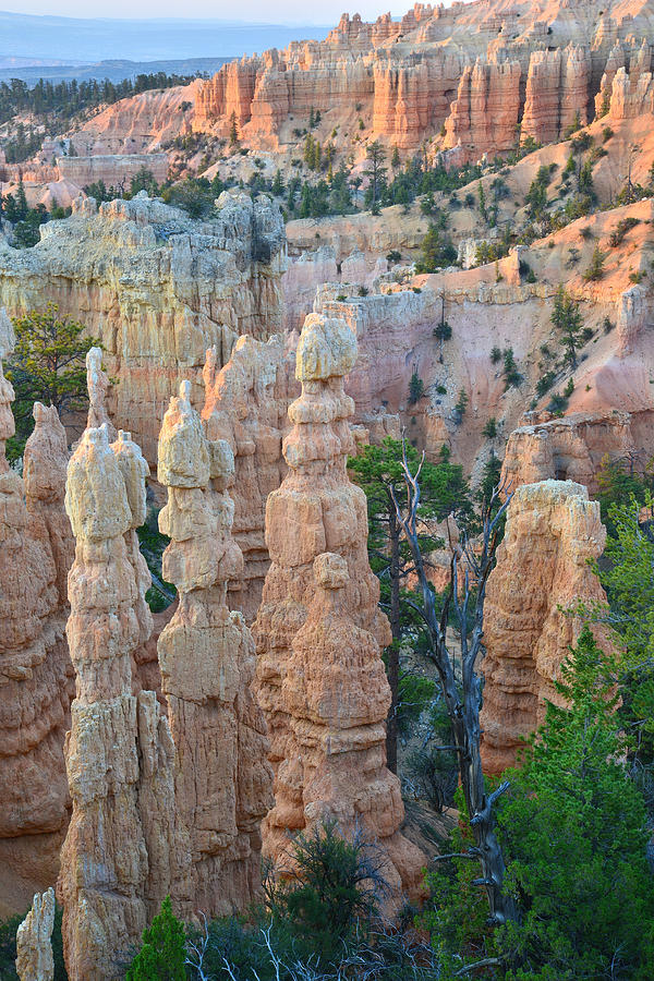 Fairyland Canyon #1 Photograph by Ray Mathis