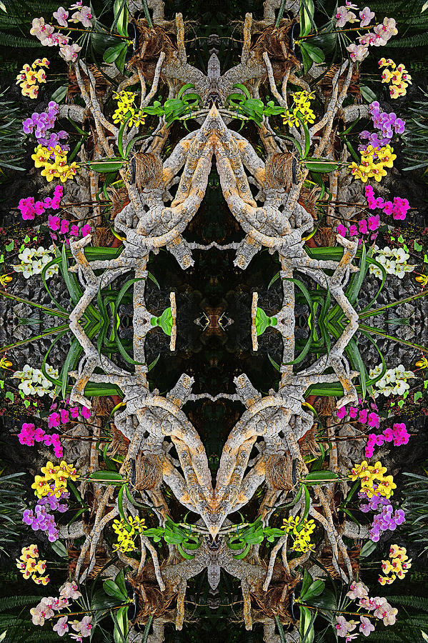 Flower Carpet. Photograph