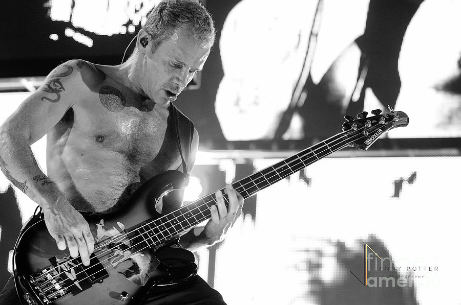 Red Hot Chili Peppers  #29 Photograph by Jenny Potter