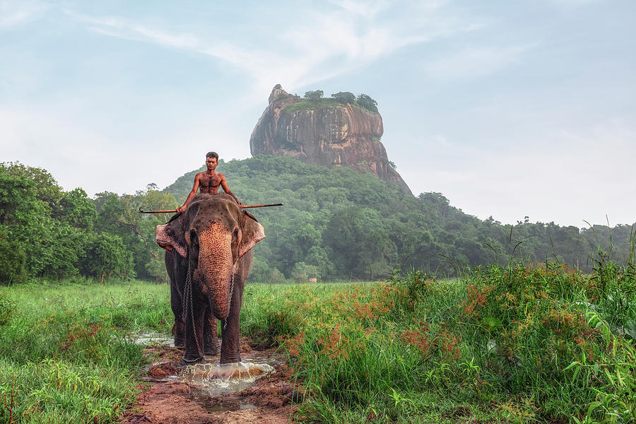 Sigiriya - Sri Lanka #29 Photograph by Joana Kruse