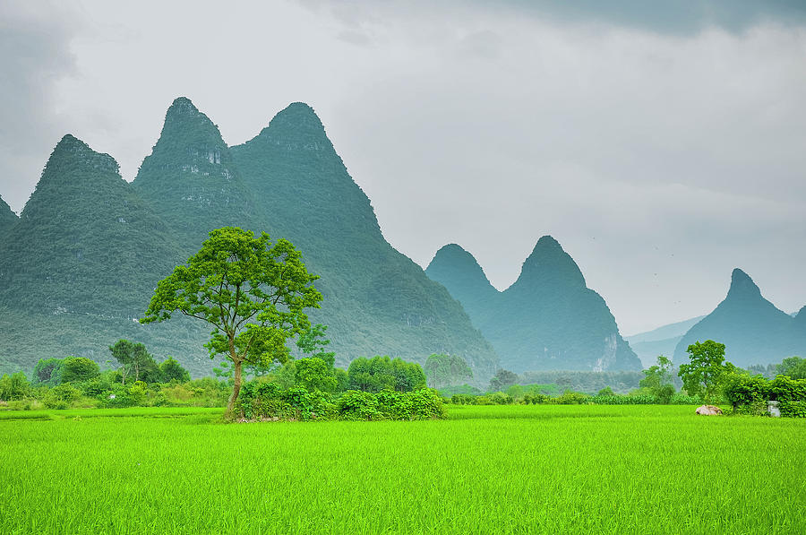 The beautiful karst rural scenery #29 Photograph by Carl Ning